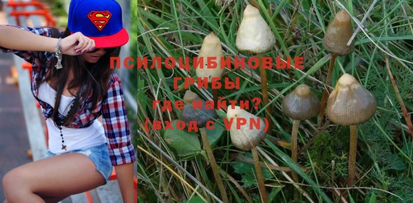 MDMA Premium VHQ Вяземский