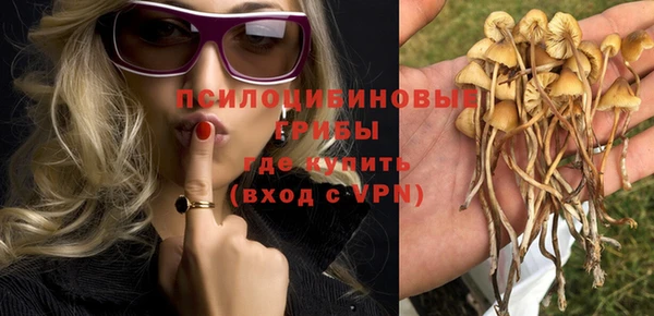 MDMA Premium VHQ Вяземский